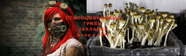 амф Козловка