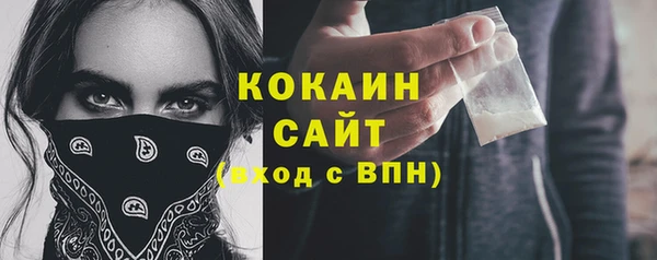 амф Козловка