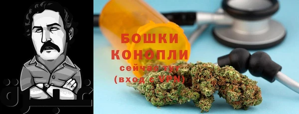 амф Козловка