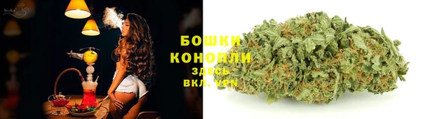 амф Козловка