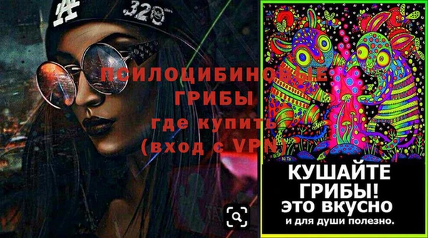 амф Козловка